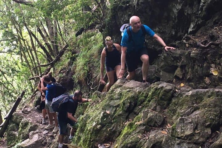 Skeleton Gorge Hike: From Kirstenbosch Ravine to Maclear's Beacon on Table Mountain