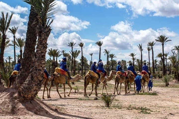 Sunset Camel Ride in Marrakech Palm Grove — Evening Camel Trek & Mint Tea Experience photo 2