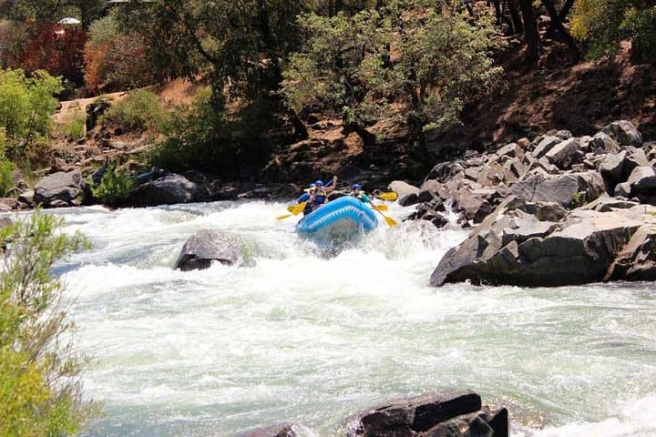 Chili Bar Run: South Fork American River Class III+ Rafting from Pilot Hill photo 4