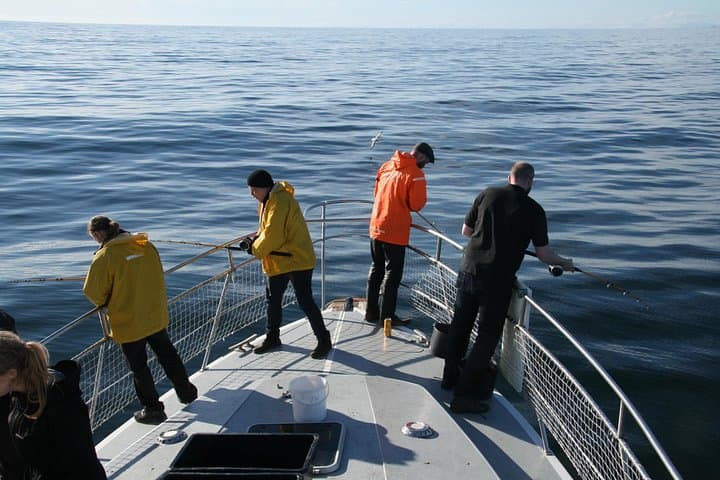 Reykjavik Sea Angling Gourmet: 3-Hour Bay Fishing with Onboard BBQ photo 2