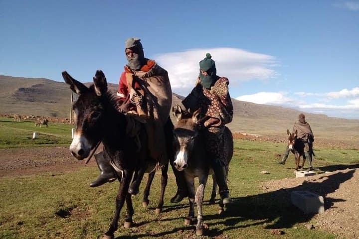 Lesotho in a Day: Sani Pass & Mokhotlong Full-Day Tour from Underberg photo 2