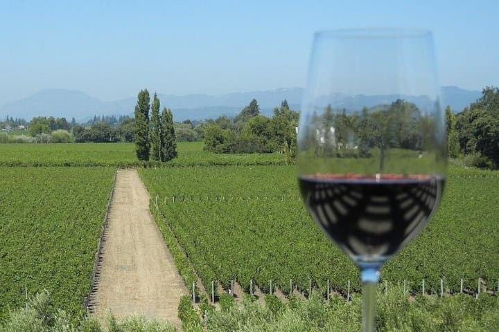 Half-Day Sonoma Wine Tour from San Francisco — 2 Winery Tastings & Sonoma Plaza photo 2