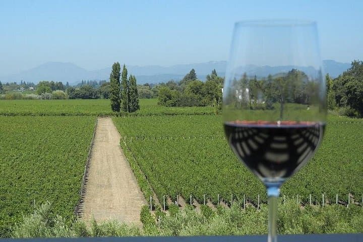 San Francisco to Napa & Sonoma: Small-Group Wine Tour with 3 Tastings photo 1