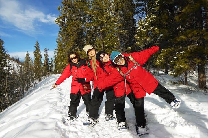 Half-Day Yukon Snowshoeing Adventure from Whitehorse