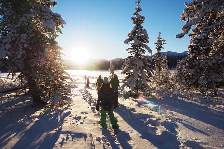 Half-Day Yukon Snowshoeing Adventure from Whitehorse photo 2