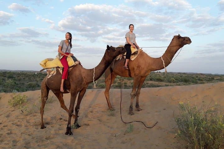 Thar Camel Safari from Jodhpur: Osian Desert Sunset, Temples & Camel Ride
