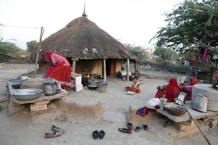 Half-Day Bishnoi Village Safari from Jodhpur: Culture, Wildlife & Local Lunch