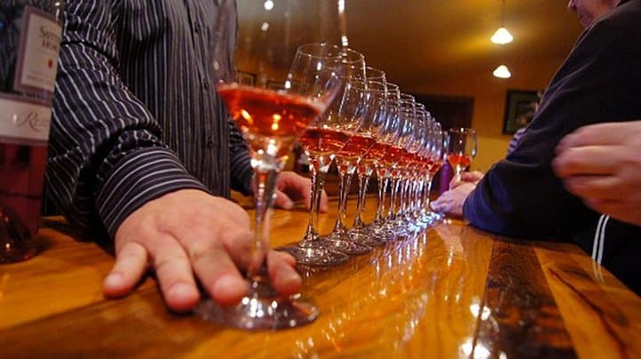 Full-Day Napa and Sonoma Wine Tour from San Francisco — 3 Wineries & Sonoma Square photo 2