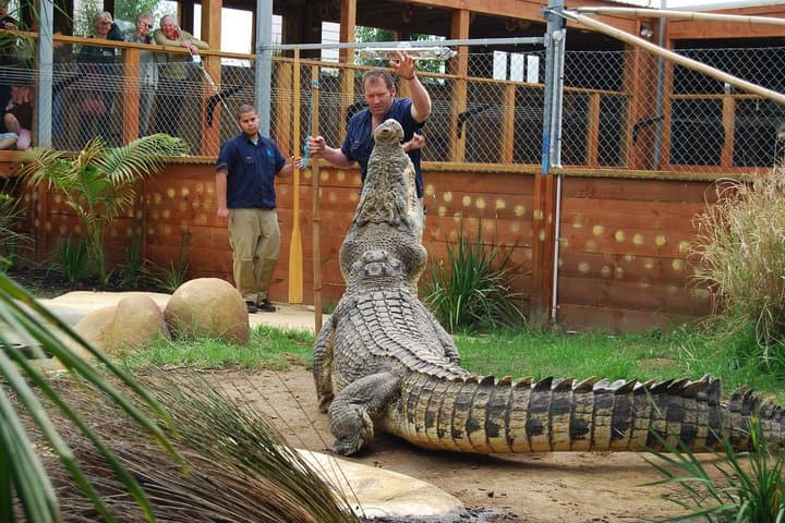 Agadir Crocodiles Park (Crocoparc) Ticket with Transfers — What to Expect photo 2