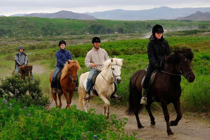 Taghazout Horseback Ride: 2-Hour Ranch & Souss River Trail from Agadir