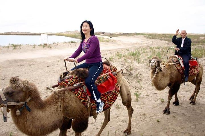 2-Hour Camel Ride in Agadir: Ranch & Souss River Experience