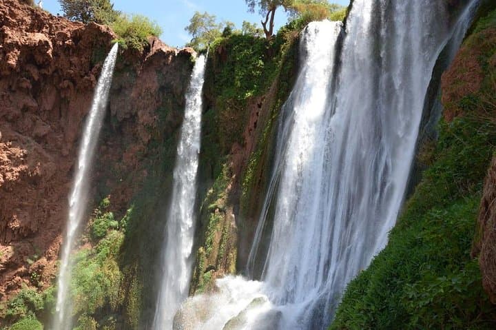 Ouzoud Waterfalls Full-Day Tour from Marrakech: Swim, Monkeys & Waterfall Views