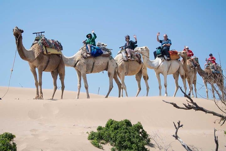 Agadir Mini-Sahara 4x4: Full-Day Desert Safari with Lunch