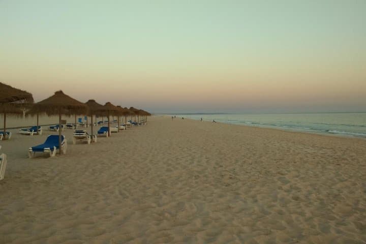 Comporta & the Sado Estuary: A Day Along the Alentejo Coast from Lisbon