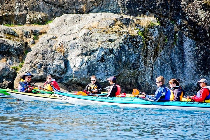 Paddle Victoria Harbour: Guided 3-Hour Kayak Tour to Gorge Waterway photo 3