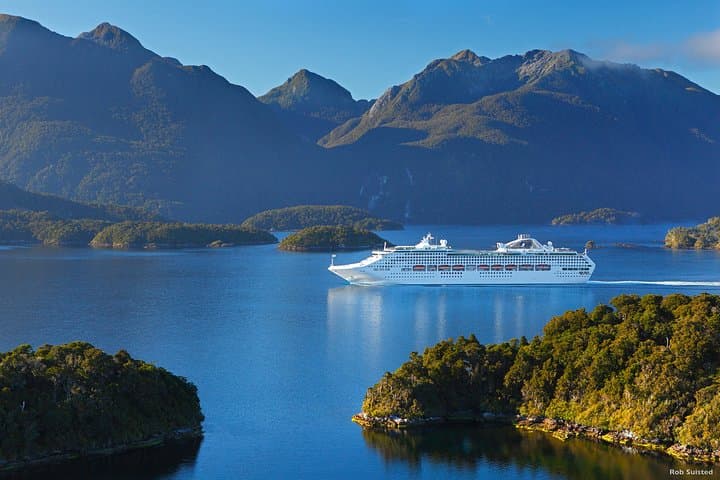 Picton to Christchurch Private Coastal Transfer with Marlborough Wines & Kaikoura Seals