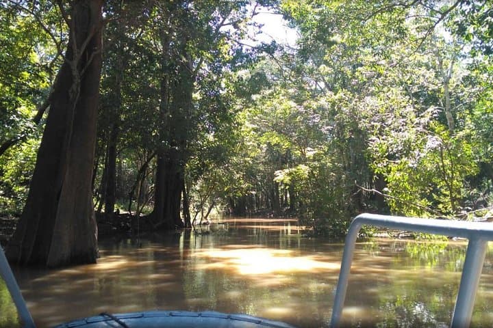 4-Day Amazon Jungle Adventure from Manaus: Piranhas, Caimans & Caboclo Culture