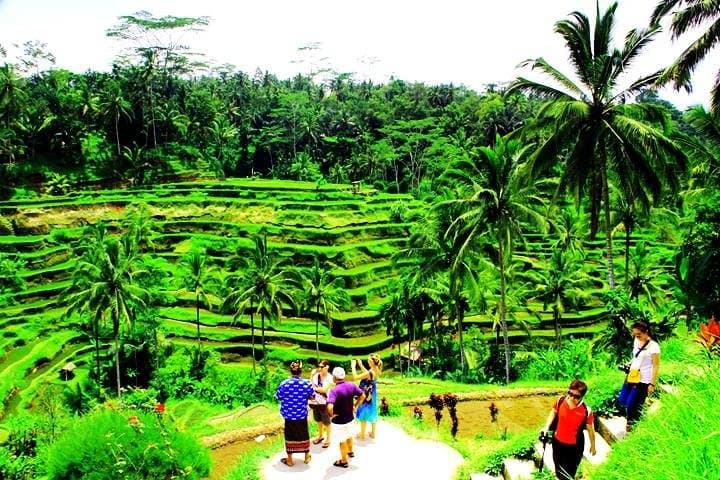 Two-Day Best of Bali: Volcano Views, Rice Terraces & Temple Sunsets photo 2