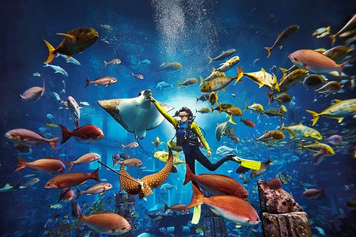 Dubai Lost Chambers Dive Explorer — SCUBA the Ambassador Lagoon at Atlantis