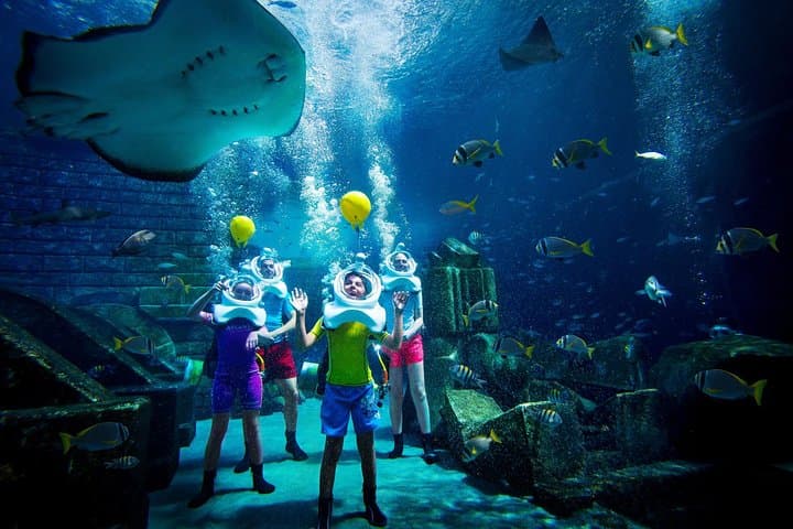 Atlantis Dubai Underwater Helmet Walk: Up-Close Shark Safari