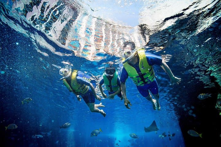 Ultimate Snorkel at Atlantis The Palm: Ambassador Lagoon Encounter