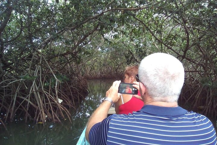 Cartagena Mangrove Canoe Tour & Walled City Shore Excursion photo 2