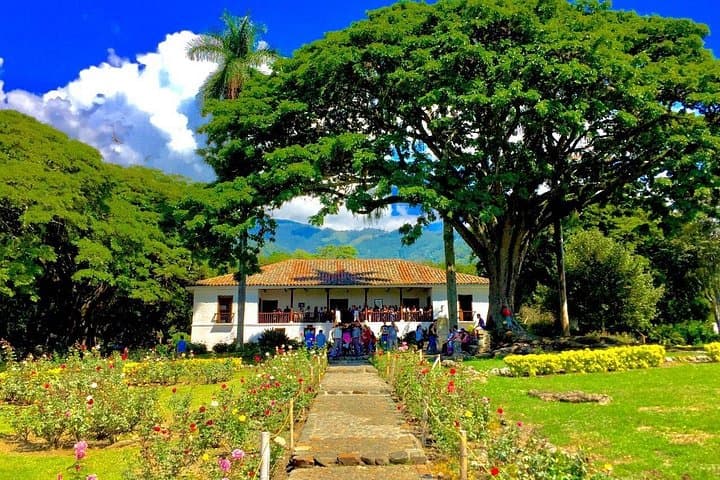 Valley Farms Museums: Sugarcane, Hacienda El Paraíso & Cali Culture Tour
