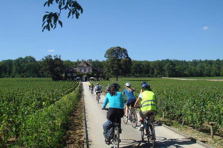 Cycle the Côte de Beaune: Burgundy Bike Tour with Vineyard Wine Tastings