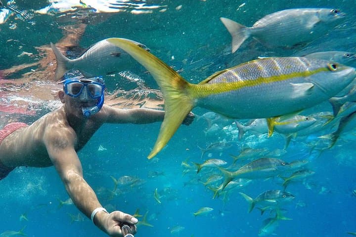 All-Inclusive Catamaran Sunset Sail & Snorkel from Playa Flamingo photo 6
