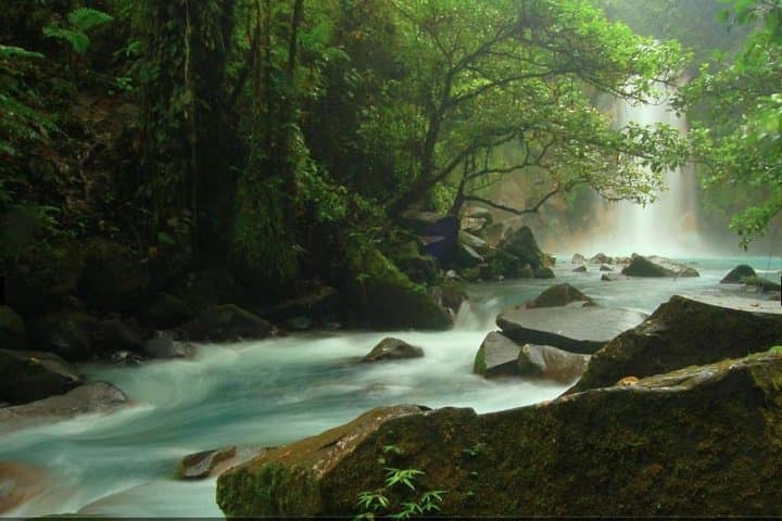 Rio Celeste Hike at Tenorio Volcano: Blue Waterfall, Sloth Trail & Local Lunch photo 3