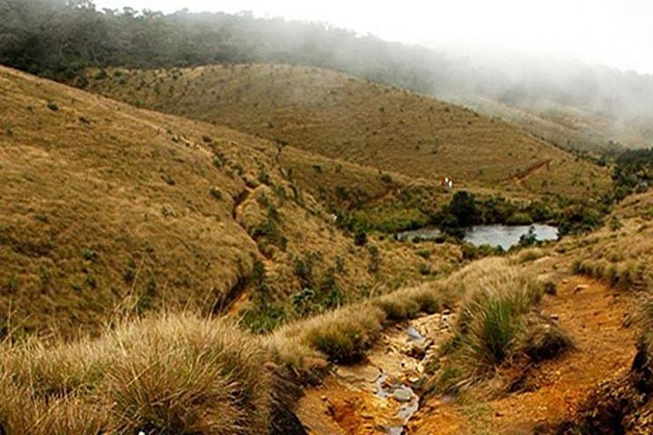 Horton Plains & World's End Day Hike from Nuwara Eliya