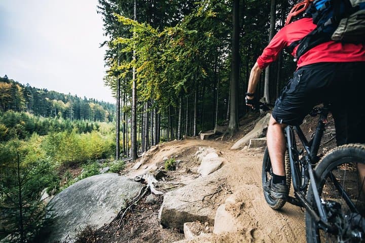 Explore Northern Bohemia’s Singletrack Trails on a Custom MTB Tour from Prague photo 2