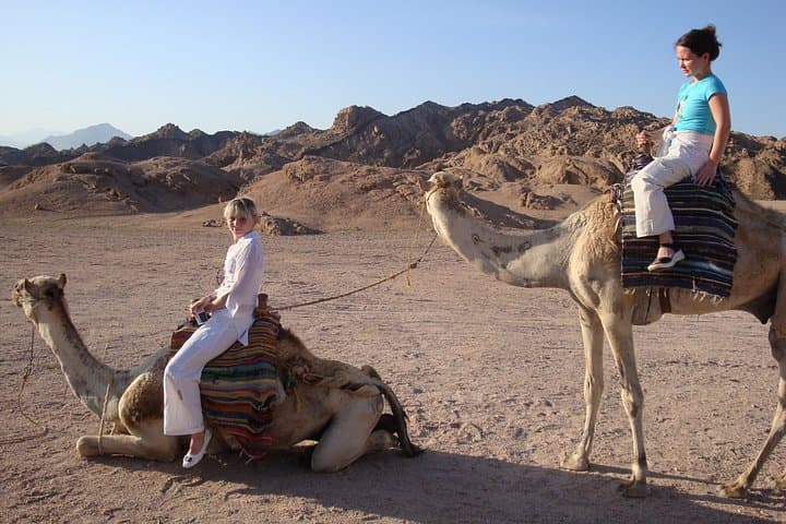 Sinai Desert Camel Ride with Bedouin Dinner, Show & Stargazing from Sharm el Sheikh photo 1