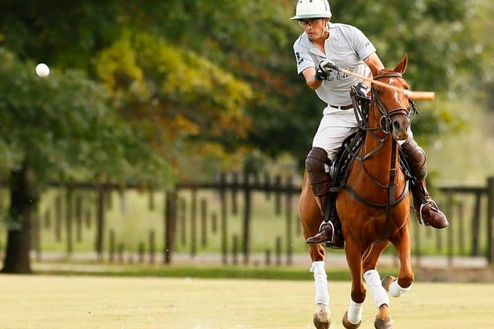 Polo Lessons from Buenos Aires: Learn to Play in the Argentine Pampas