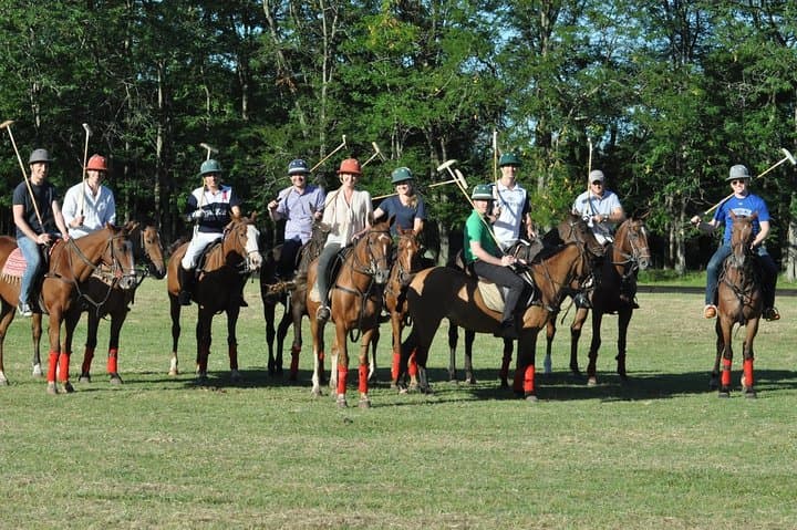 Polo Lessons from Buenos Aires: Learn to Play in the Argentine Pampas photo 2
