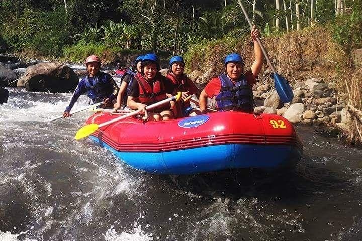 Ayung River Rafting from Ubud: 2.5-Hour Whitewater Adventure photo 2