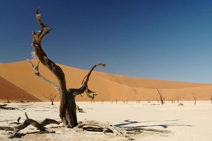 3-Day Sossusvlei Dunes Tour with Lodge — Dune 45, Big Daddy & Dead Vlei