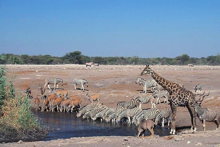 16-Day Namibia Highlights: Sossusvlei, Etosha & Himba Cultural Encounters photo 2
