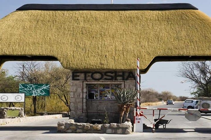 7-Day Namibia Desert Camping: Sossusvlei, Swakopmund & Etosha Wildlife photo 1