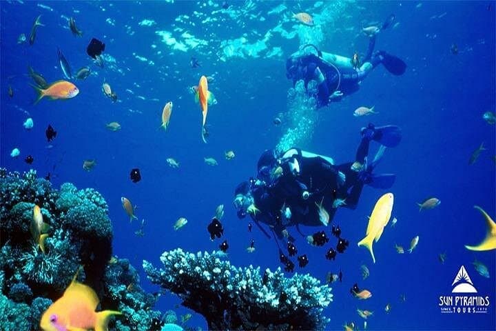 Mahmya Island Snorkeling Day Trip from Hurghada — Giftun Reef & White-Sand Beach photo 2