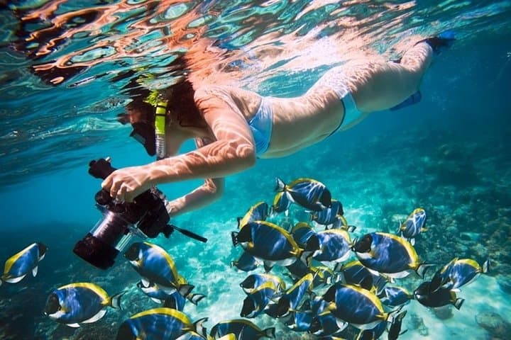 Intro Dive & Snorkel Boat Tour to Tiran and Ras Mohammed, Sharm El Sheikh