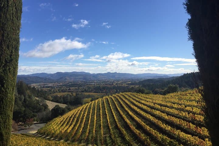 Private San Francisco to Napa Wine Tour — Custom Luxury Day Trip photo 2