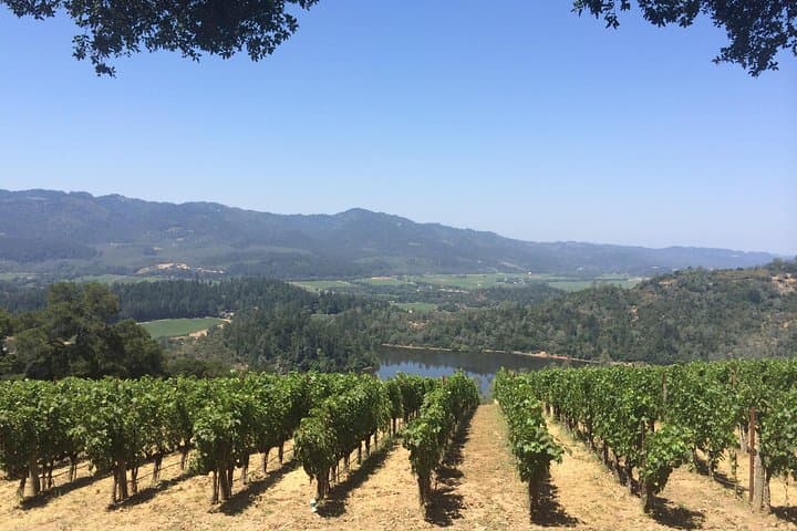 Private Napa Valley Limo Wine Tour from San Francisco — 8-Hour Custom Tastings photo 2