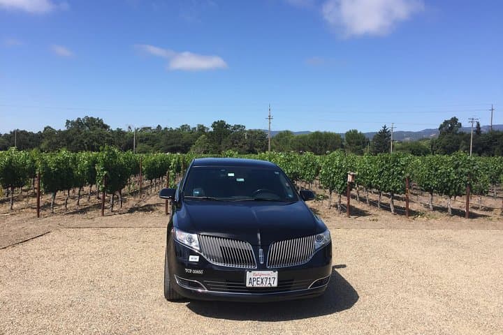 Private 8-Hour Napa Valley Wine Tour from San Francisco (Sedan for 2) photo 1