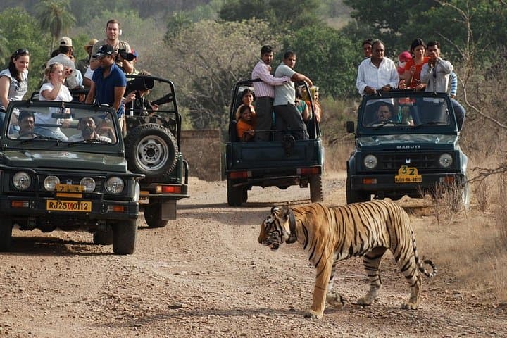 8-Day Golden Triangle with Ranthambore Tiger Safari — Taj Mahal, Ranthambore & Jaipur photo 1