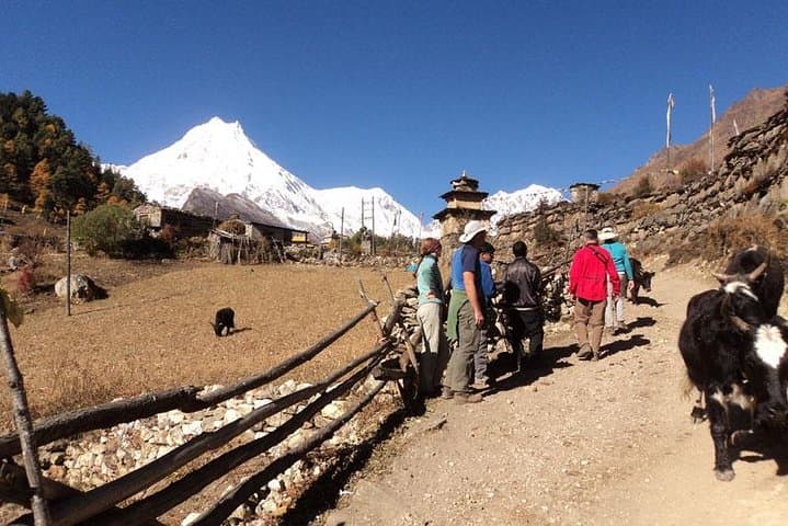 Manaslu Circuit Tea House Trek: Larkya La via Sama Gaon (Newly Open Route) photo 2
