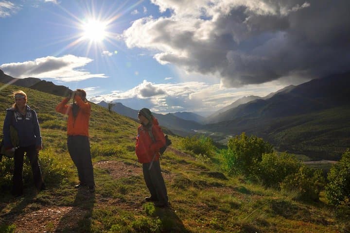 Denali National Park Wilderness Hiking Tour: A 5-Hour Guided Trek Through Alaska’s Untamed Terrain
