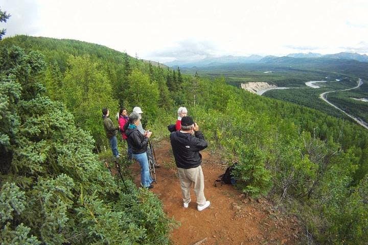 Denali National Park Wilderness Hiking Tour: A 5-Hour Guided Trek Through Alaska’s Untamed Terrain photo 2