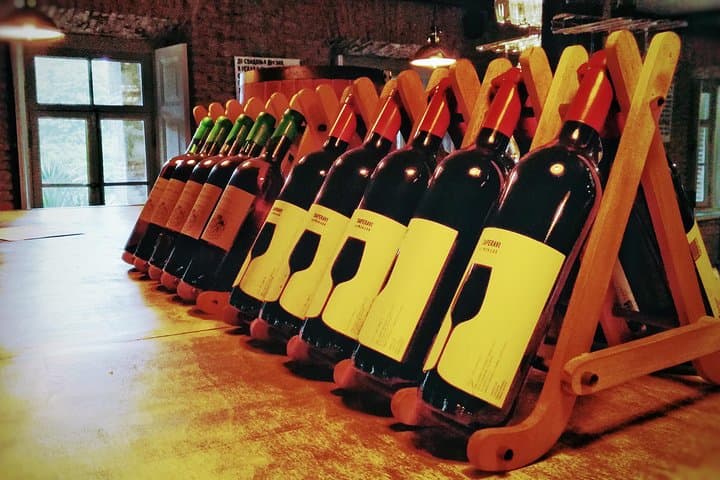 Kakheti Day Tour: Wine, History & Georgian Gastro Experience