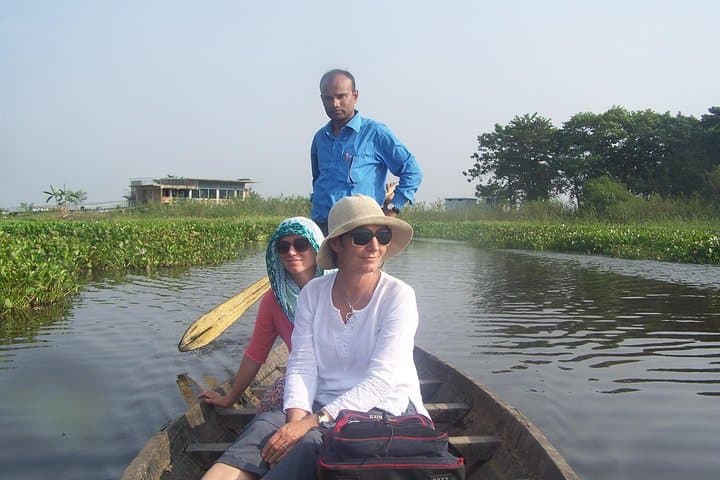 Tea, Treetops, and Wetland Wanders